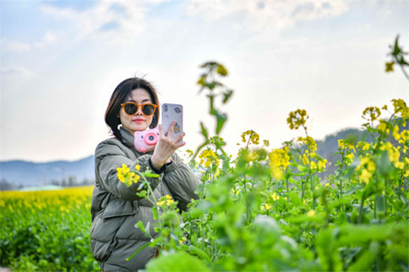 重庆南岸：广阳岛油菜花开美如画