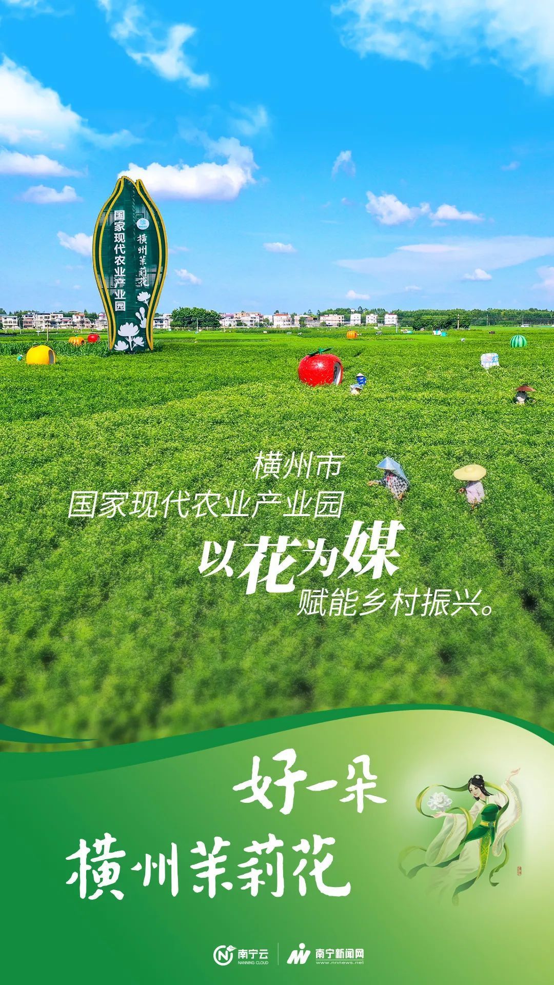 全球10朵茉莉花，6朵来自广西横州！横州市打造“茉莉花+”特色产业推动产城乡融合发展