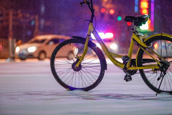 【轮播图】千呼万唤始出来 郑州降下2018年首场大雪