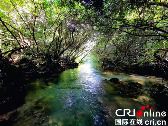 （原创）贵州：践行绿色发展理念 引领贵山贵水“新风尚”_fororder_黔南荔波优良生态环境 杨云