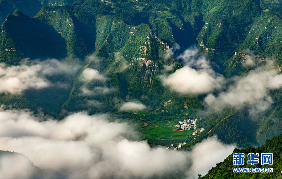 满目青翠 武陵山区绿色“林”距离