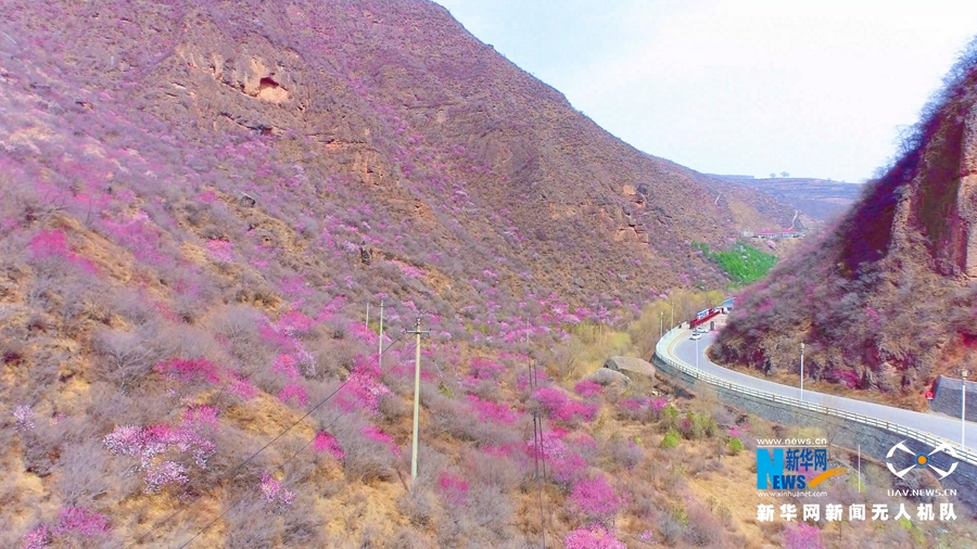 （视界图文列表）【“飞阅”中国】崆峒山下桃花“醉”春风