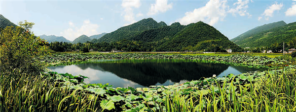 好山好水好风景——恩施市立足生态“底色”释放绿色红利_fororder_02