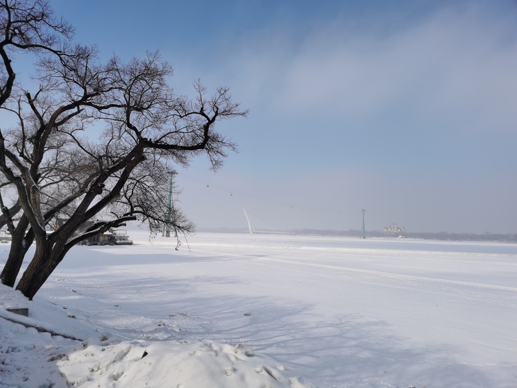 雪后哈尔滨格外的美