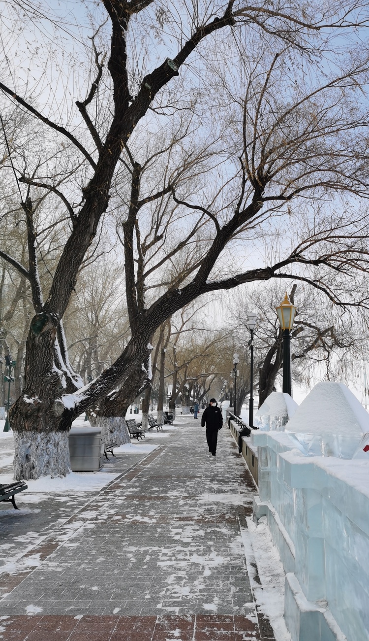 雪后哈尔滨格外的美