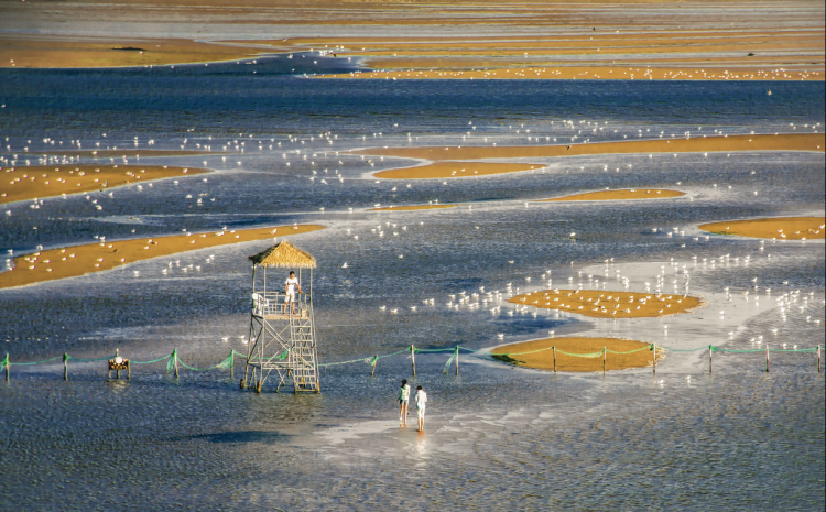 河北十项举措提升河湖保护治理水平