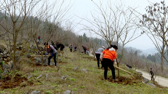 （供稿）贵阳修文：加强森林抚育 厚植生态优势 助力乡村振兴_fororder_微信图片_20220304150325