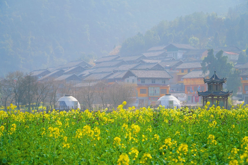 （供稿）贵州独山：油菜花开暖意浓 独秀峰下赏春光_fororder_5