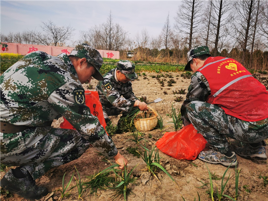 南通崇川：农场红遇迷彩绿 绘就春天志愿底色_fororder_图片2_副本