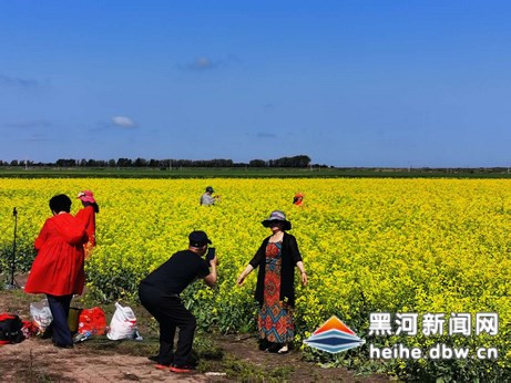 逊克中俄农业园区油菜花海试种成功变身游人“打卡”地