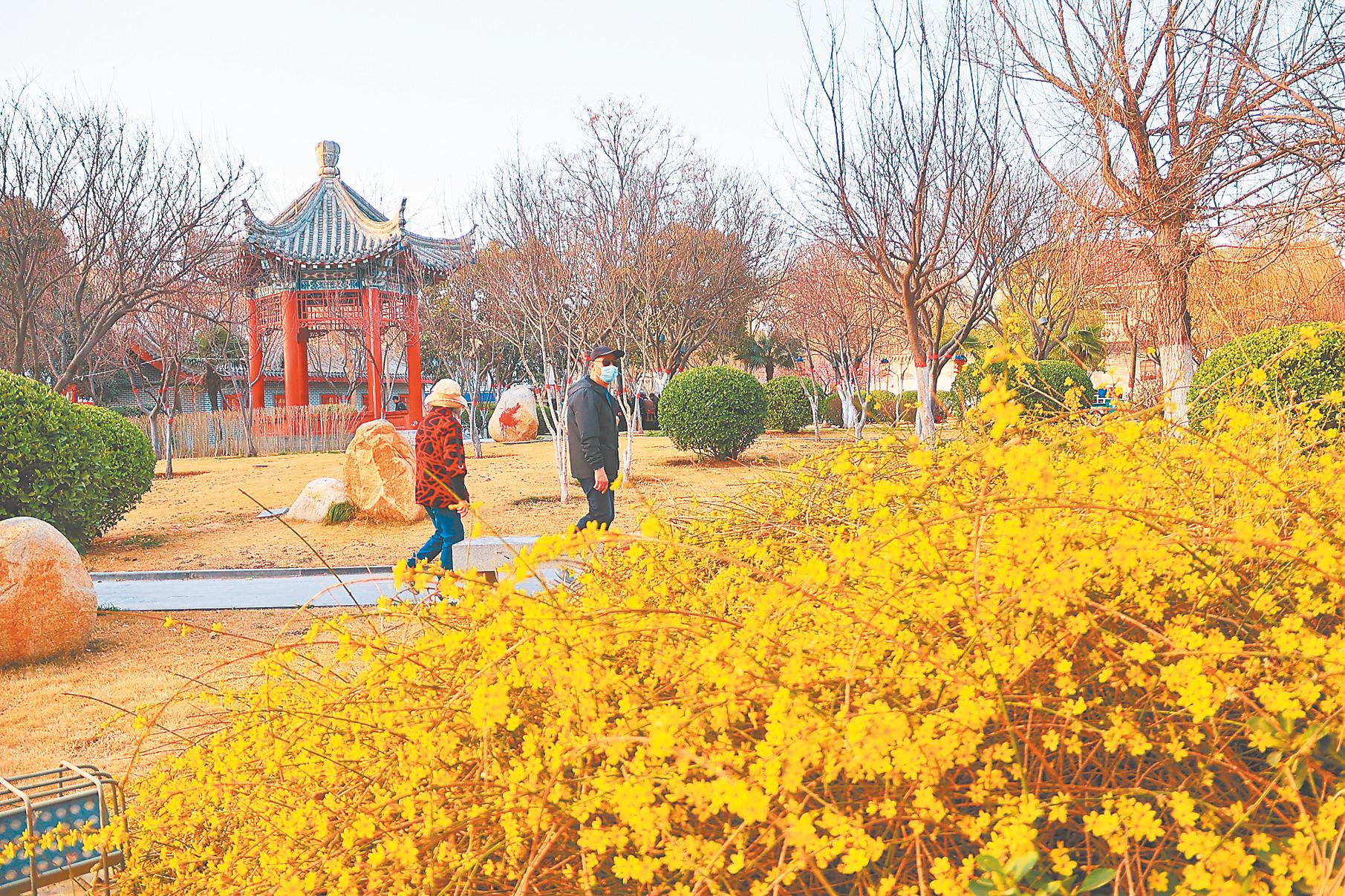 河南开封：春暖花开日 赏花正当时