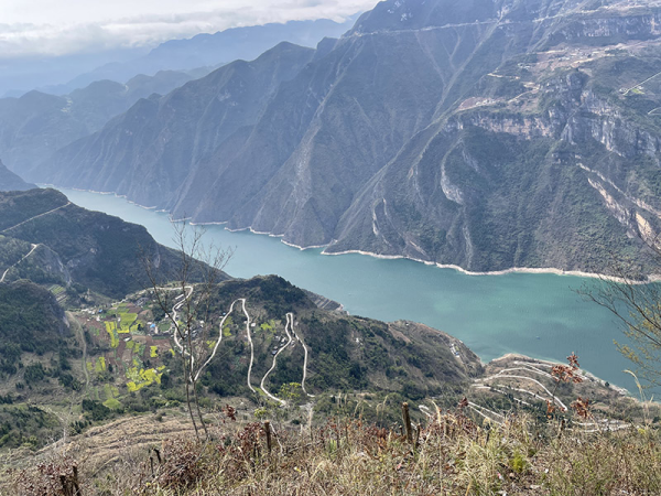 【原创】重庆巫山同心村：推进“绿色”产业发展 促进群众增收致富_fororder_图片7(1)