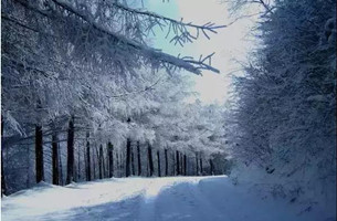 【行游巴渝　图文】下雪了 重庆这些地方已美成童话