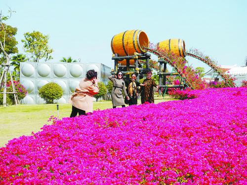 厦门马銮湾生态三岛公园试开放