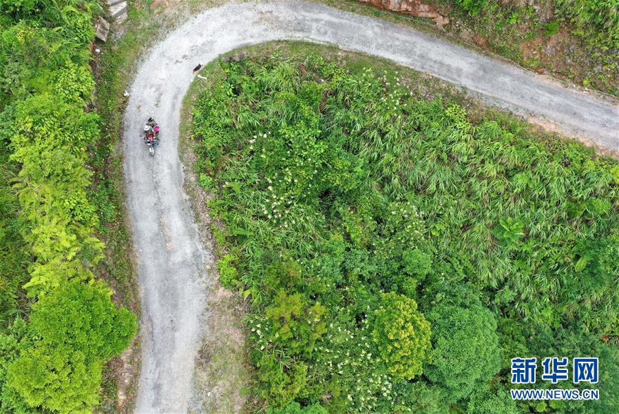 瑶族夫妻护林员：用爱守护绿水青山