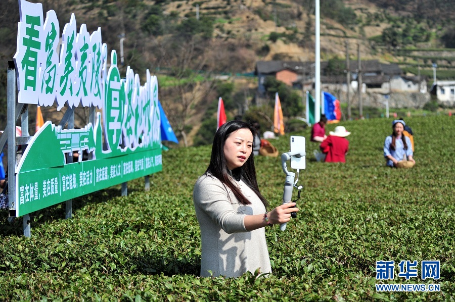 【“飞阅”中国】三峡库区早茶开园