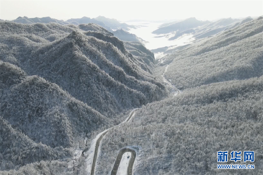 别样春光！大雪飘落神农架