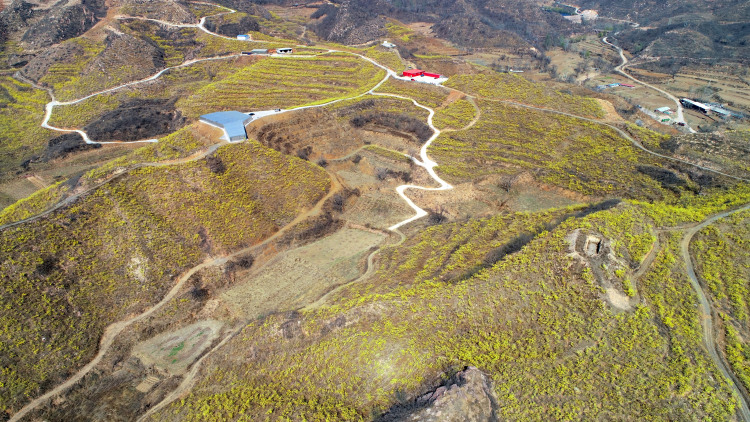 河北井陉：山间开满致富花