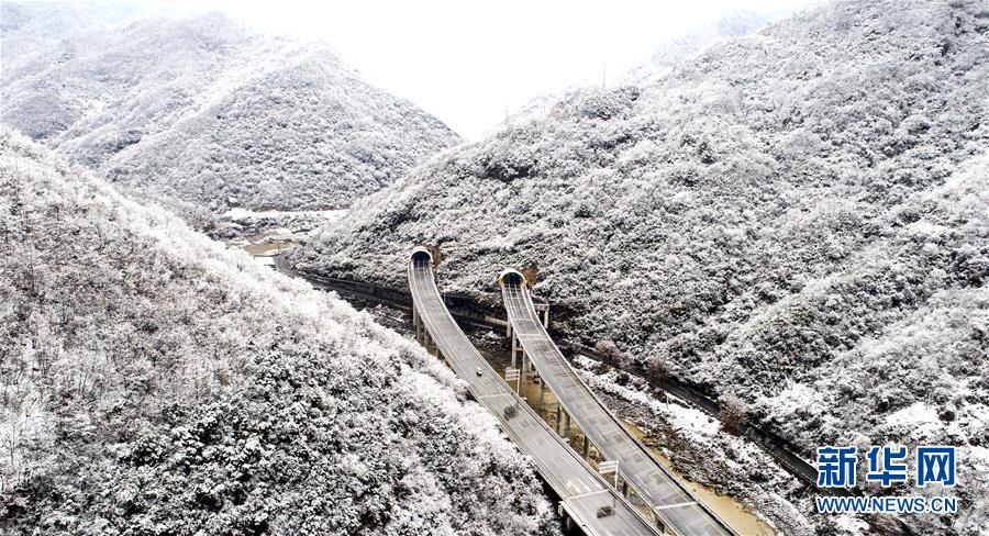 玉树琼枝秦岭紫柏山