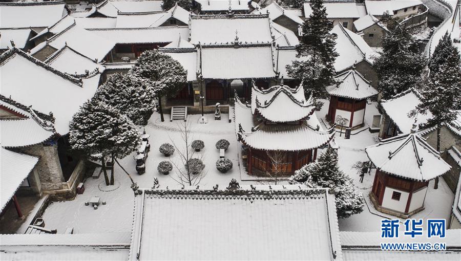 玉树琼枝秦岭紫柏山