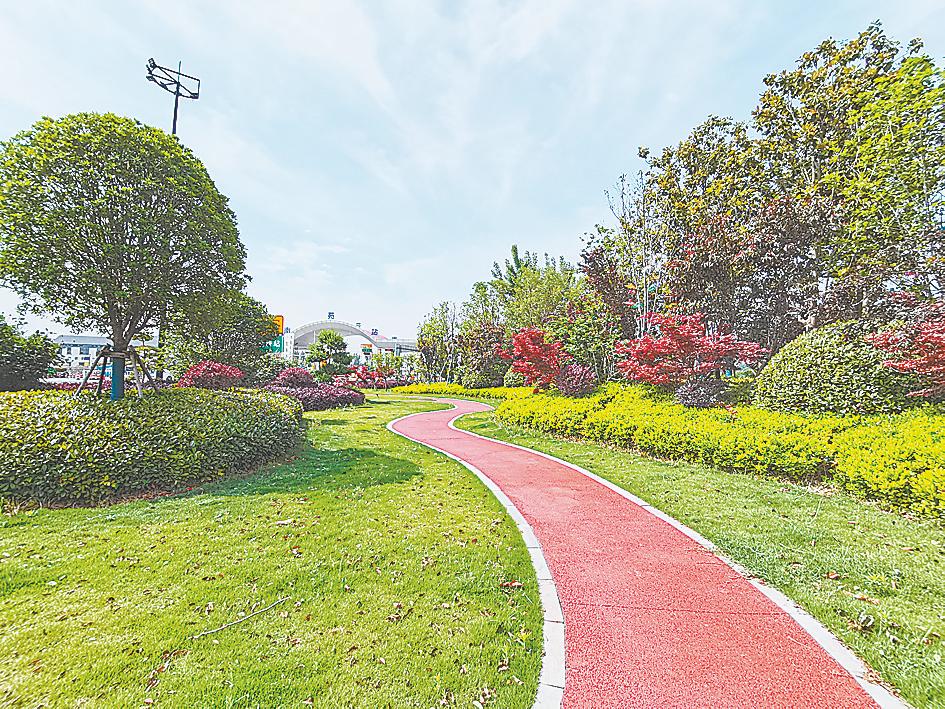 “绣花”建设大园林 雕琢生态开封城