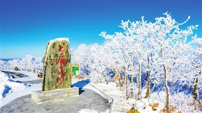 饶河县：初春现雾凇 满城皆美景