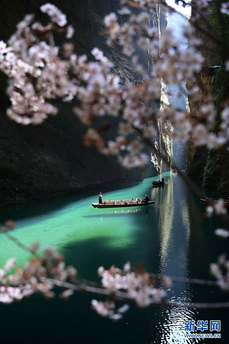 湖北鹤峰：峡谷春色醉游人