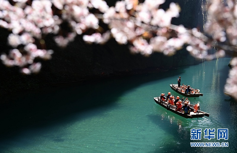 湖北鹤峰：峡谷春色醉游人