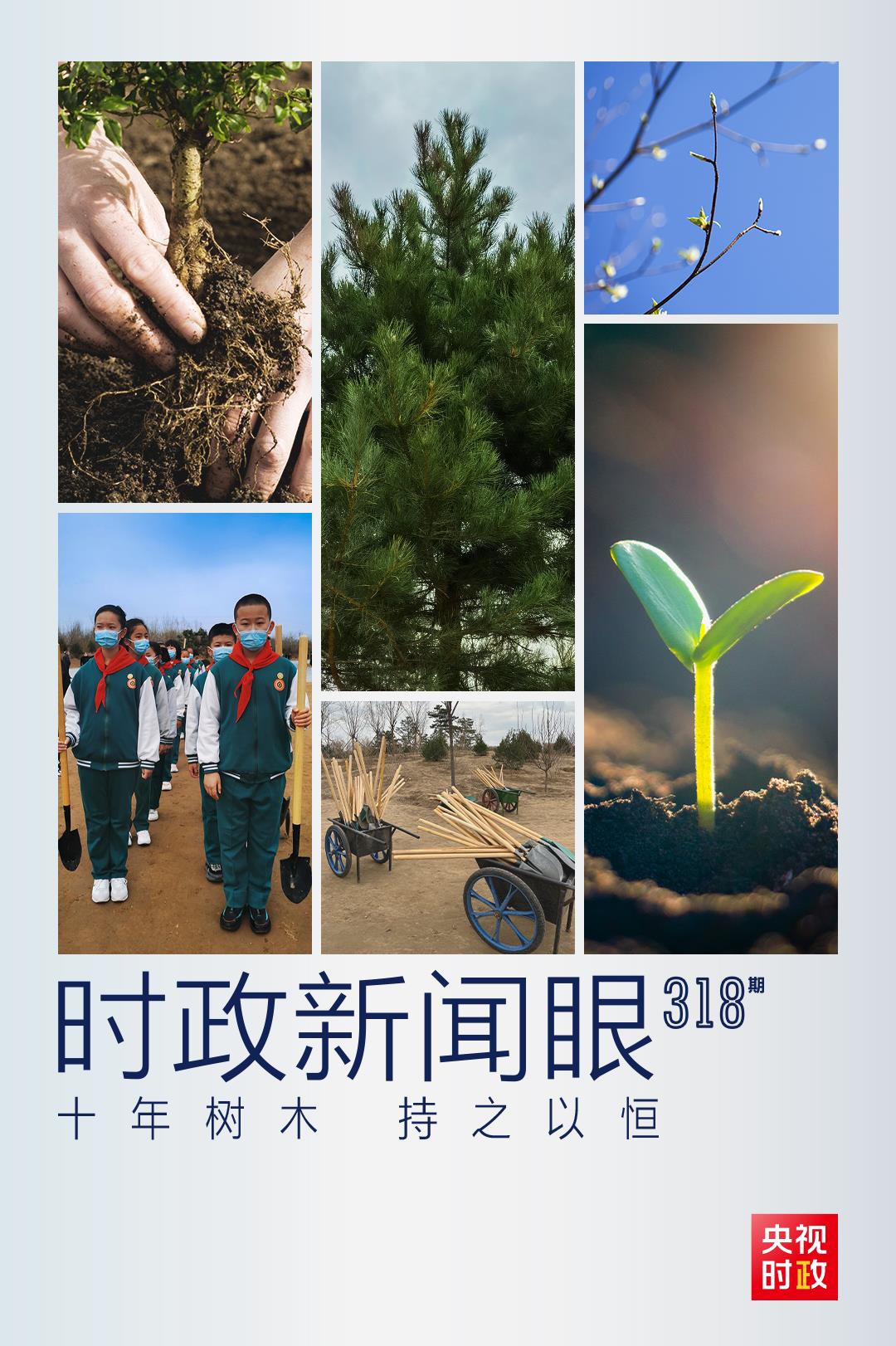 时政新闻眼丨连续第10年参加首都义务植树，习近平发出这样的号召