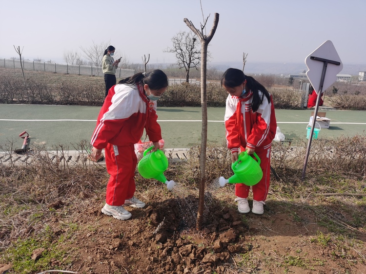 陕西渭南：拥抱大秦岭 做植树护绿小卫士_fororder_微信图片_20220310200846