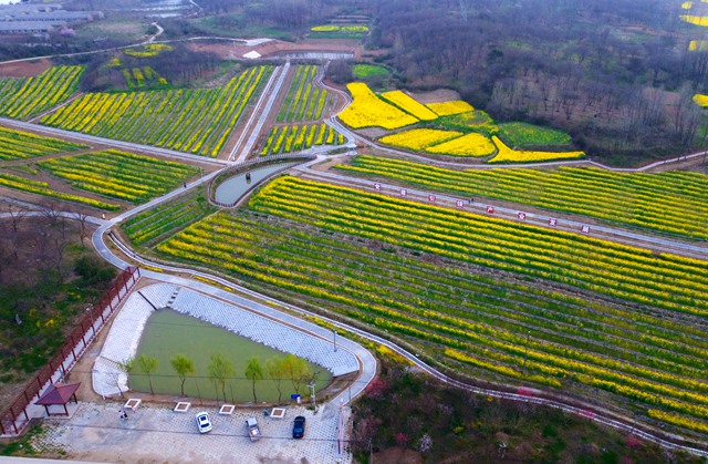 信阳：乡村振兴先行区的“罗山实践”