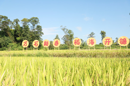 （急稿）【CRI专稿 列表】重庆梁平晒秋节开幕 农文旅融合奏响乡村振兴新篇章