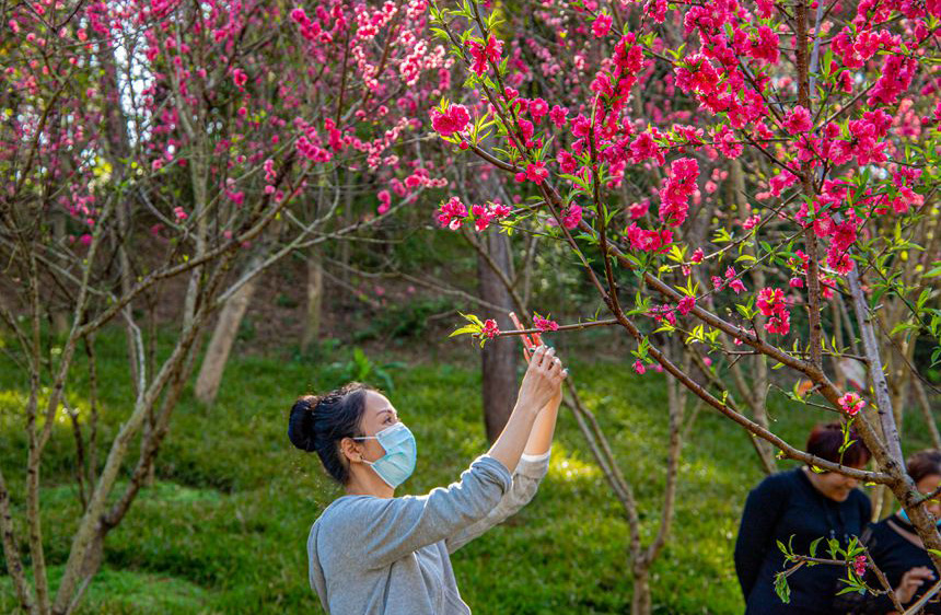 广西：赏花踏春好惬意