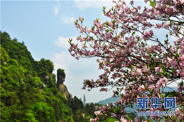 赏桃花、观非遗、品美食 重庆石柱发布九项春季旅游活动