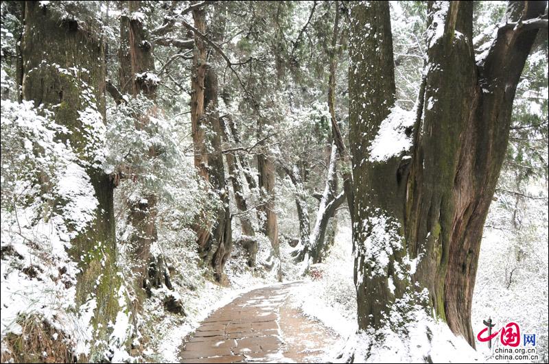 剑门关迎来2018年第一场雪 银装素裹景色宜人