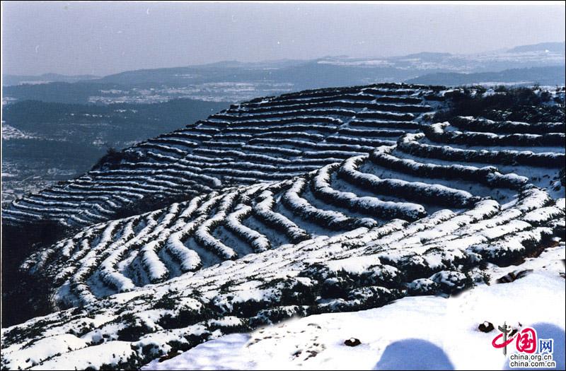 剑门关迎来2018年第一场雪 银装素裹景色宜人