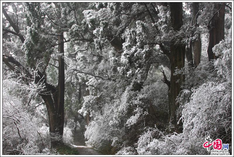 剑门关迎来2018年第一场雪 银装素裹景色宜人