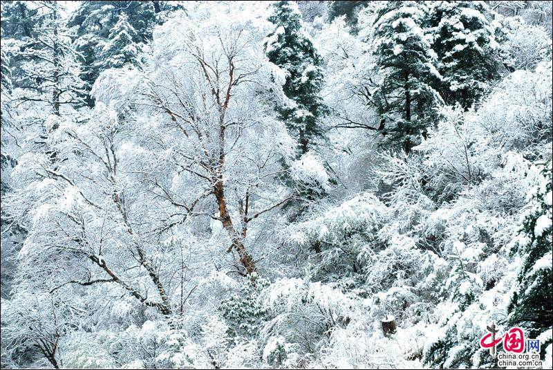 达古冰山迎来2018年第一场雪 若冰雪童话世界