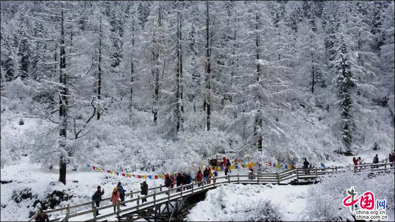 达古冰山迎来2018年第一场雪 若冰雪童话世界