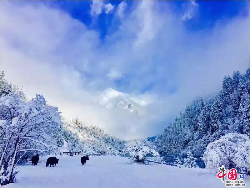 达古冰山迎来2018年第一场雪 若冰雪童话世界