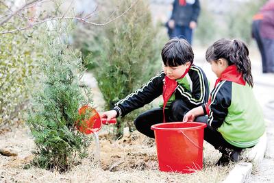 河北40年累计12.3亿多人次参加义务植树