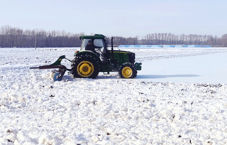 科技备春耕｜耙雪散墒 科学“开方”用好养好黑土地