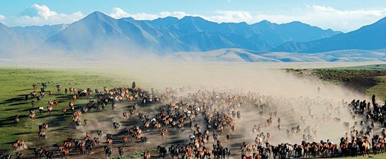 奋力践行富民兴陇使命 奏响甘肃文旅发展强音 全面打响“交响丝路·如意甘肃”品牌