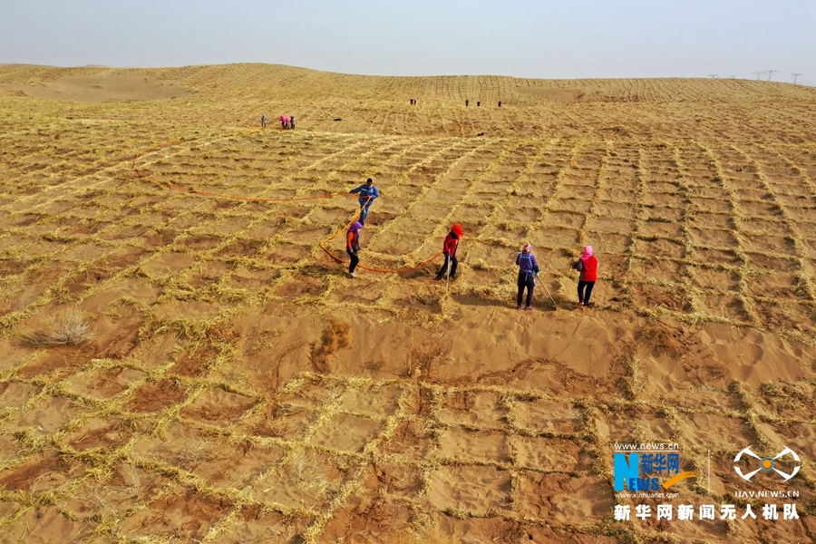 【“飞阅”中国】甘肃临泽：植绿固沙“装扮”春天