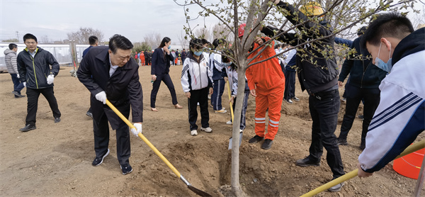 躬耕“试验田”建好“样板间” 沈抚示范区锚定目标精准发力_fororder_沈抚示范区党工委副书记、管委会主任董峰带领班子成员植树，绿化家园 摄影 兵歌