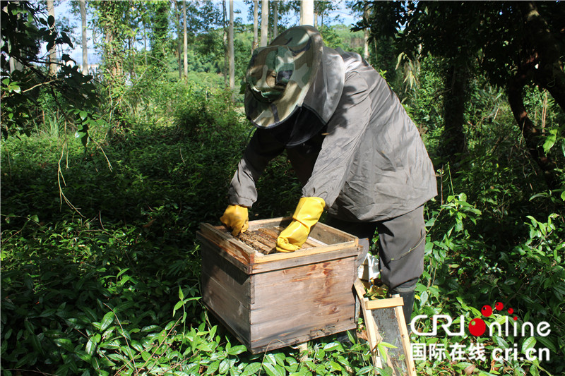 自治区定贫困村和自治区级贫困村是一个意思，已改成级【A】玉林市陆川县：贫困夫妇“种养”出幸福生活（组图）