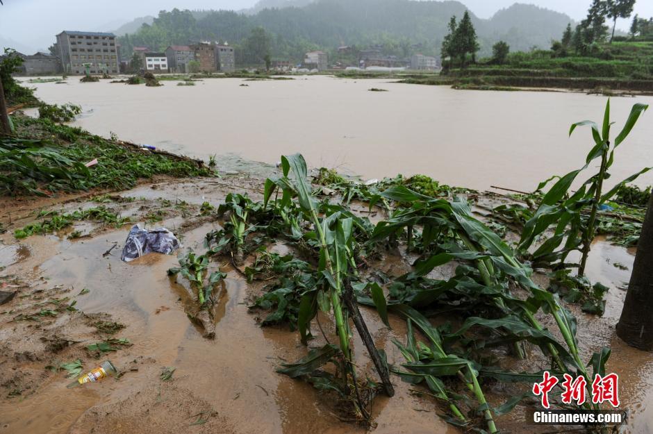 贵州锦屏暴雨成灾 5人死亡