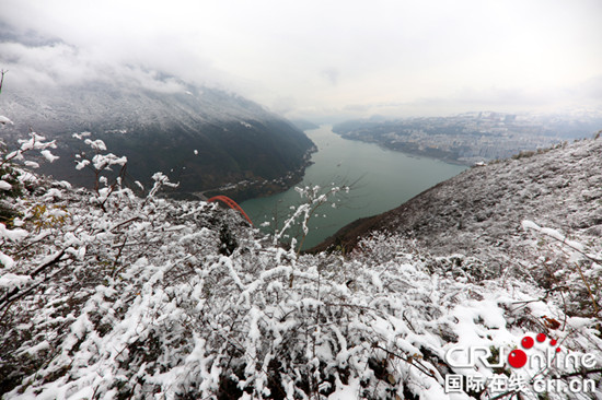 已过审【行游巴渝 图文】巫山县新年降首场大雪 壮美雪景怡人