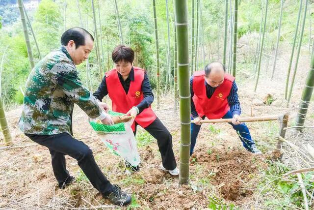 杭州桐庐 第一书记带头助力春耕生产_fororder_微信图片_20220406095931