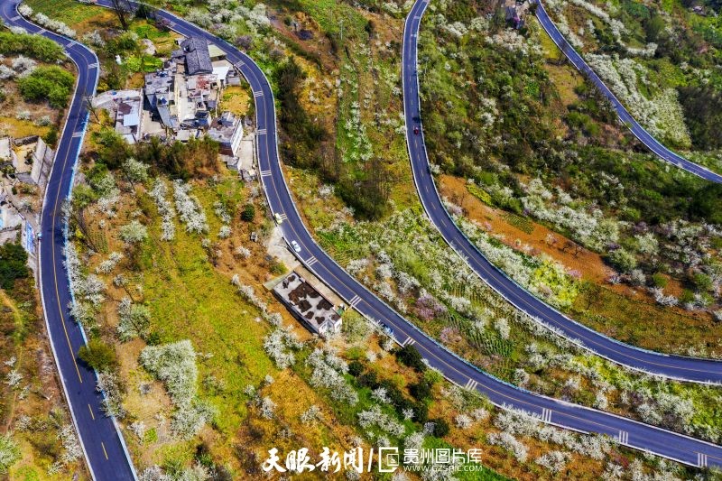 贵州黔西：一路风景 一路歌